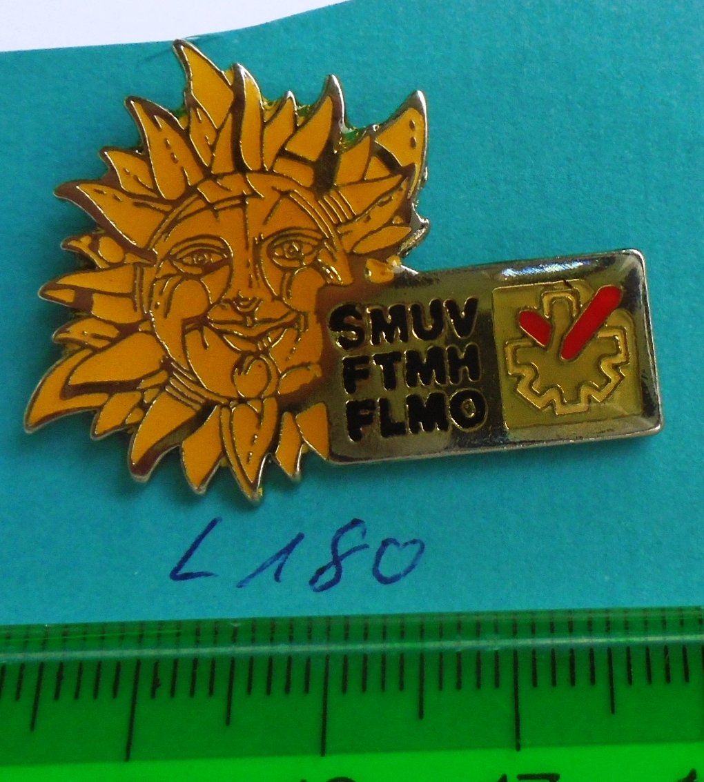 Placchette & Badge: 1 Sonnen Pin (L180) – Usato da Winterthur venduto da Beli2000