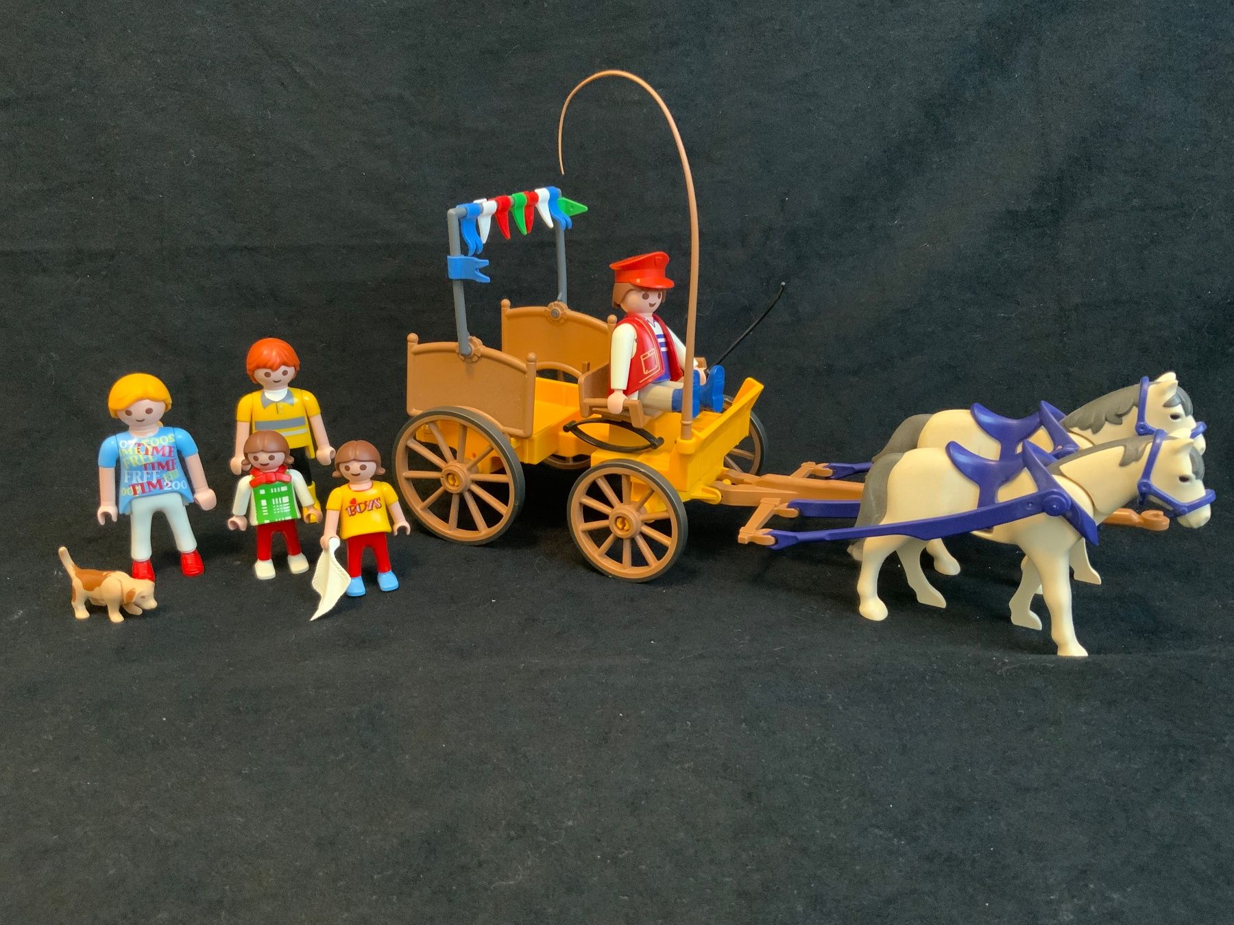 Playmobil Giocattoli: PLAYMOBIL Pferdekutsche – Usato da Endingen venduto da Sugarwoman