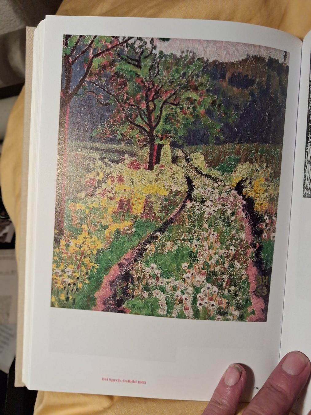 Libri: Selten Bruno Hesse Kunstmaler – Usato da Welschenrohr venduto da Regool 6