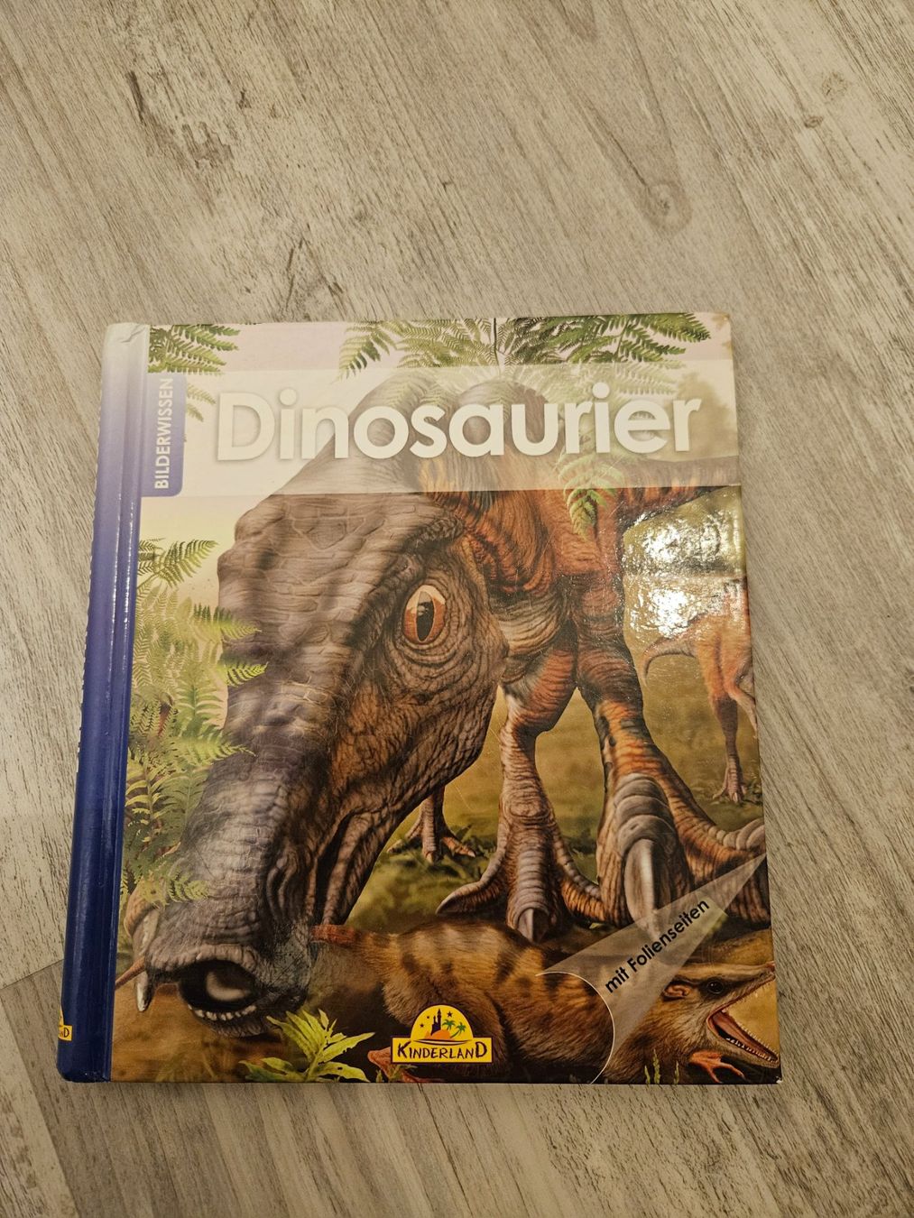 Libri: Dinosaurierbuch mit Folienseiten Kinderbuch – Usato da Embrach venduto da Lilly2021