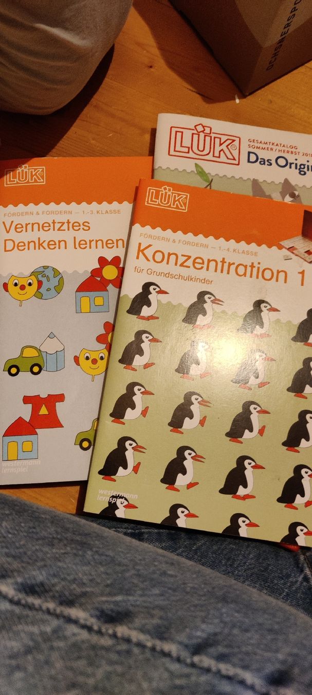 Spiele: LÜK Kasten mit Büchern – Gebraucht aus Mönchaltorf von Verinha8 2