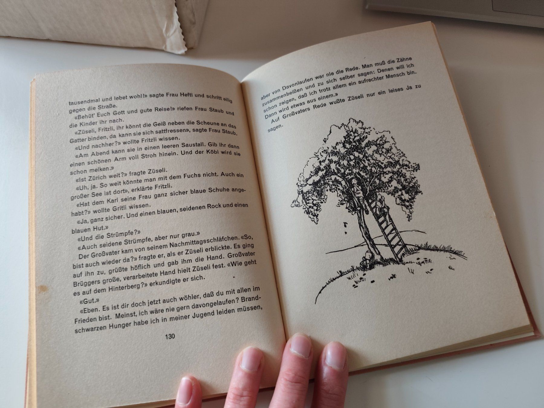 Libri: ZÜSELI Kinderbuch von Rosa Weibel – Usato da Tegerfelden venduto da jea_f5xk 3