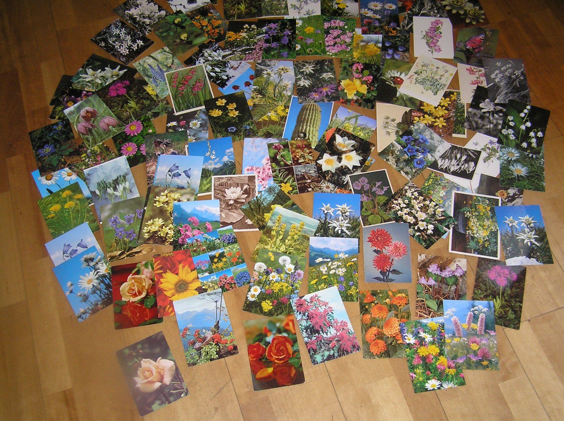 Cartoline postali: 170 Schöne Blumenkarten – Usato da Lumbrein venduto da made02 6