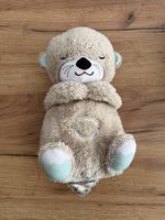 Lontra Fisher price 0+ 