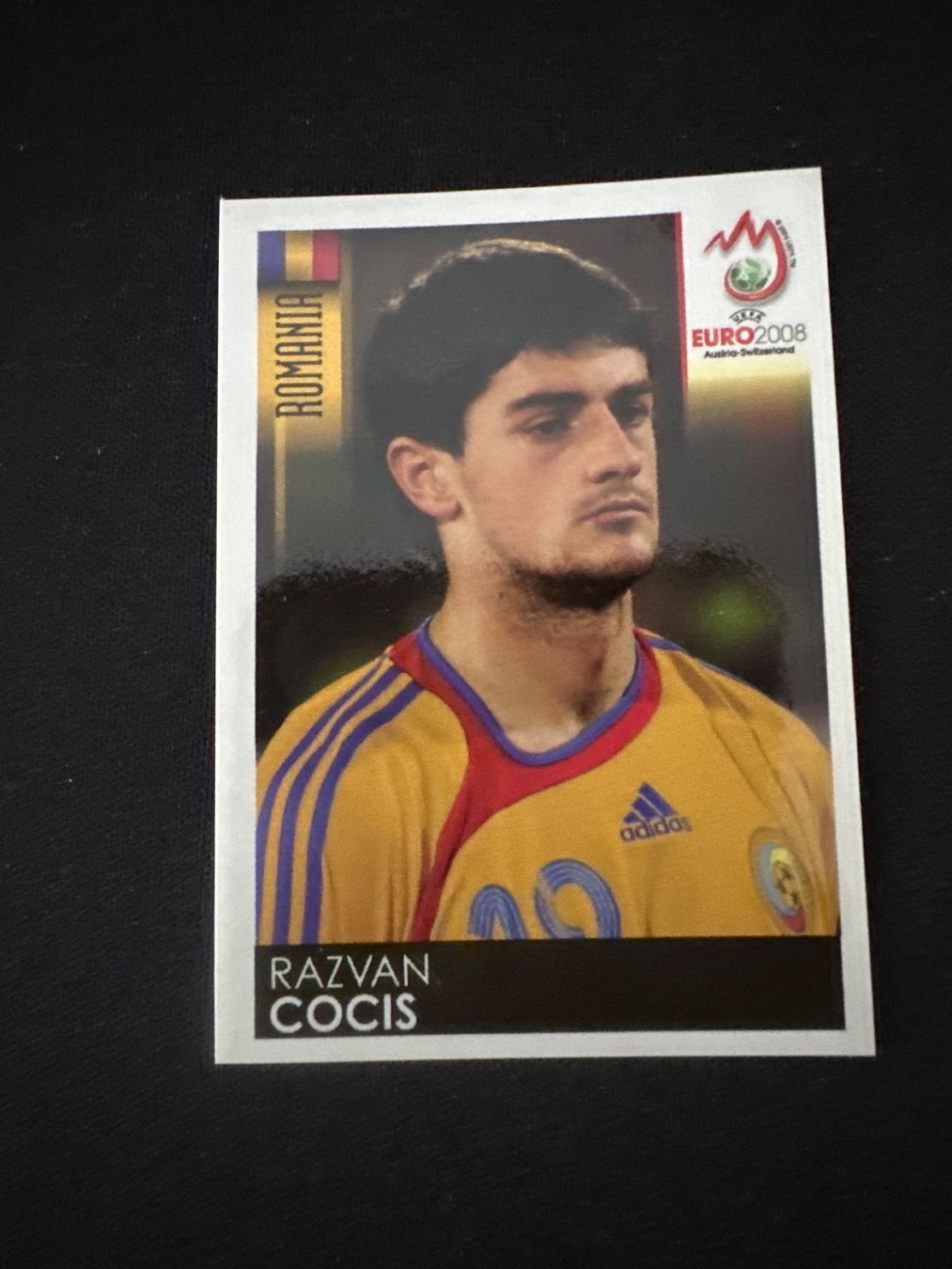 Panini Carte collezionabili: Panini UEFA EM 2008 Sticker - Nr. 324 – Usato da Sulz AG venduto da DealWerk