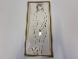 Zeichnung Frauenkörper