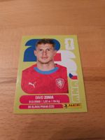 Panini WM 2026 CZE 8