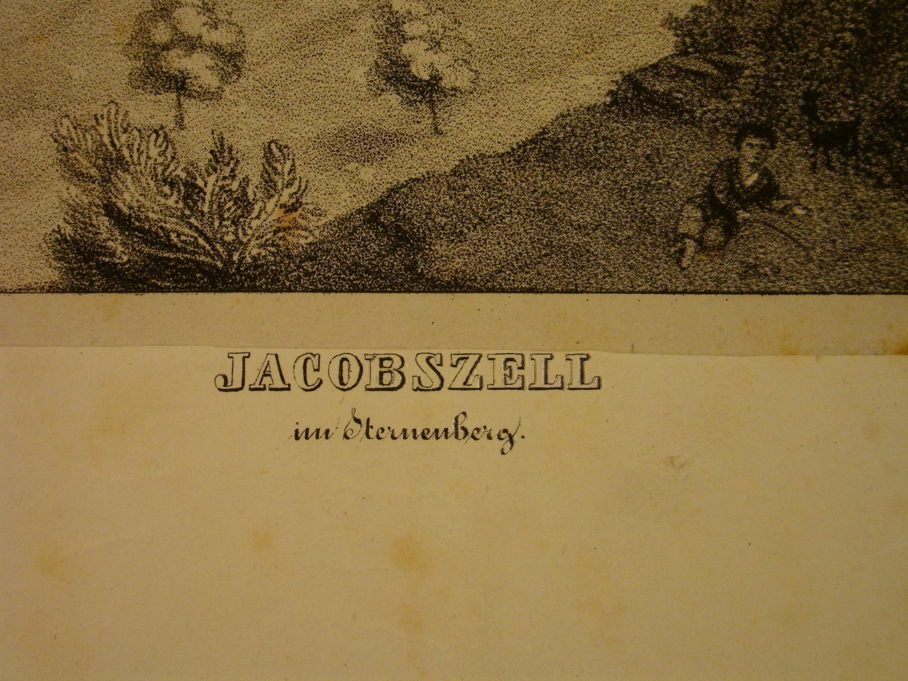 Grafica & Litografie: JACOBSZELL IM STERNENBERG, LITHO UM 1850 – Usato da Grüningen venduto da Kartensammler 3