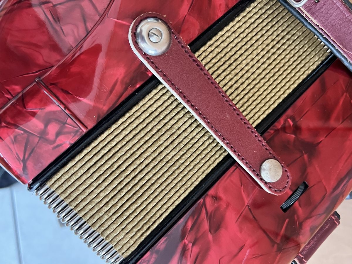Hohner Strumenti musicali: Hohner Riviera 3 – Usato da Schüpfheim venduto da ukb5 3