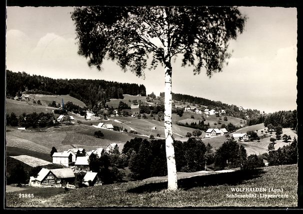 Cartoline postali: Wolfhalden /App., Schönenbühl mit Birk – Usato da Berlin venduto da bartko-reher