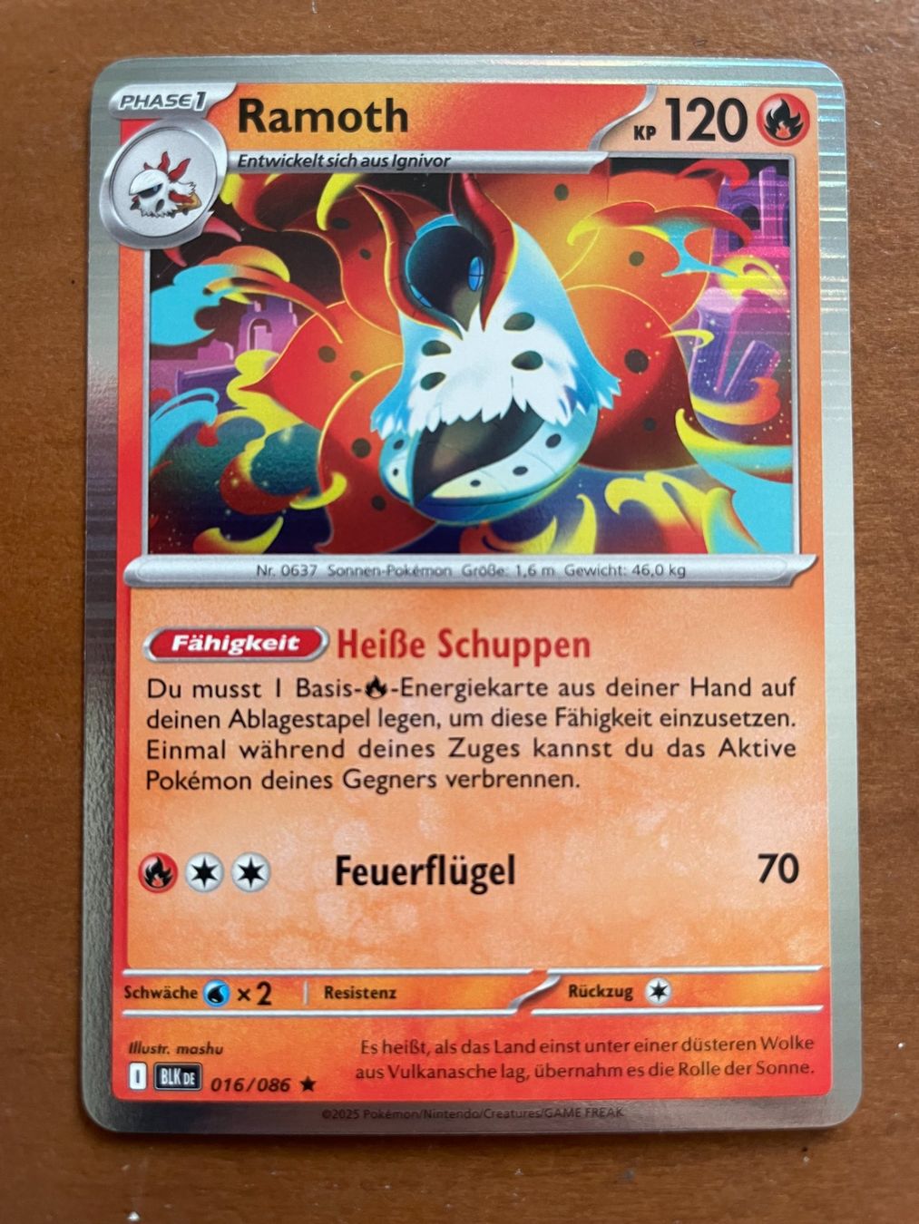 Pokémon Carte collezionabili: Pokemon Ramoth Holo (Versand gratis) – Nuovo (secondo la descrizione) da Chur venduto da Angerson