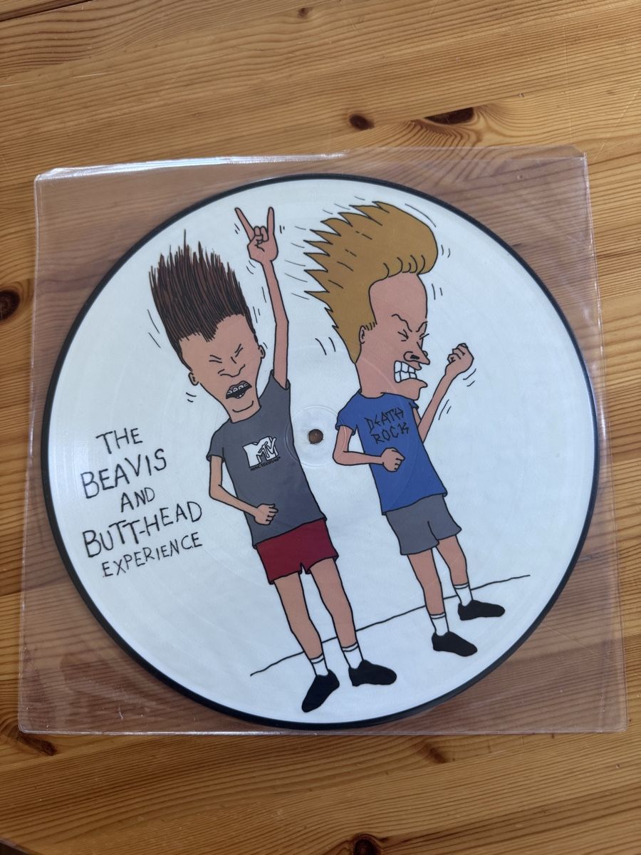 Dischi in vinile: Disque vinyle picture disc Beavis and Butt-Head Geffen – Usato da Vésenaz venduto da Angela.C3