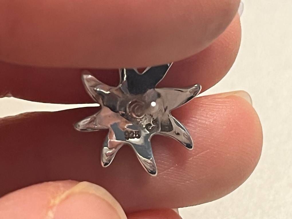 Ohrringe & -stecker: Edelweiss Ohrstecker – Gebraucht aus Zürich von Turanor 1