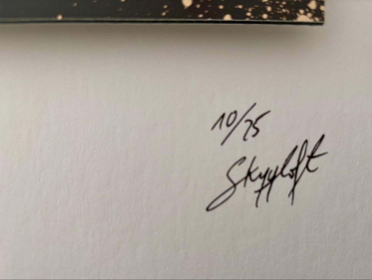 Foto & Immagini: Skyyloft Bilder - Bitcoin 1.0 Dollar Original Skyyloft Bild – Nuovo e nell'imballaggio originale da Bülach venduto da Cspadanuda 2