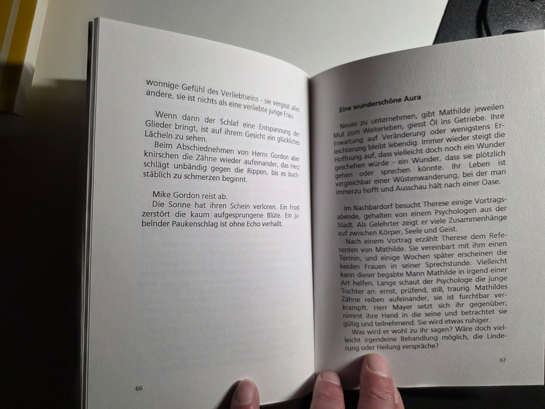 Livres: Frieda Habegger - Mathilde Mathilde ... - 1996 – D'occasion à Walterswil BE par Lonitti 2