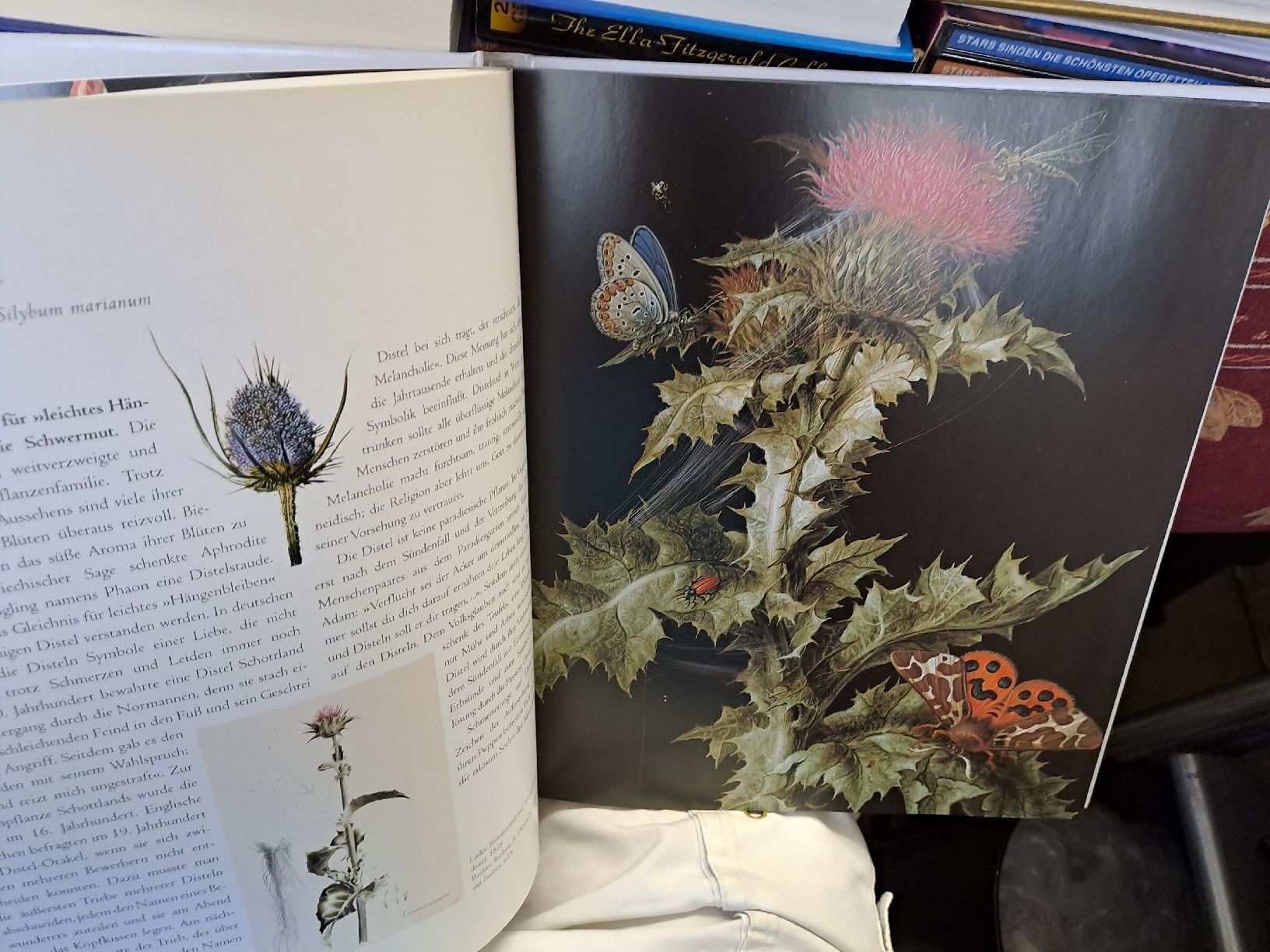 Libri: Die Sprache der Blumen - A-Z – Usato da Zürich venduto da Schoebi19 5