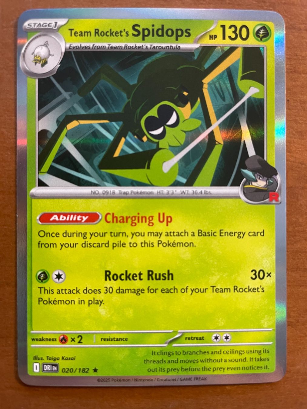 Pokémon Carte collezionabili: Pokemon Team Rocket's Spidops Holo (Versand gratis) – Nuovo (secondo la descrizione) da Chur venduto da Angerson