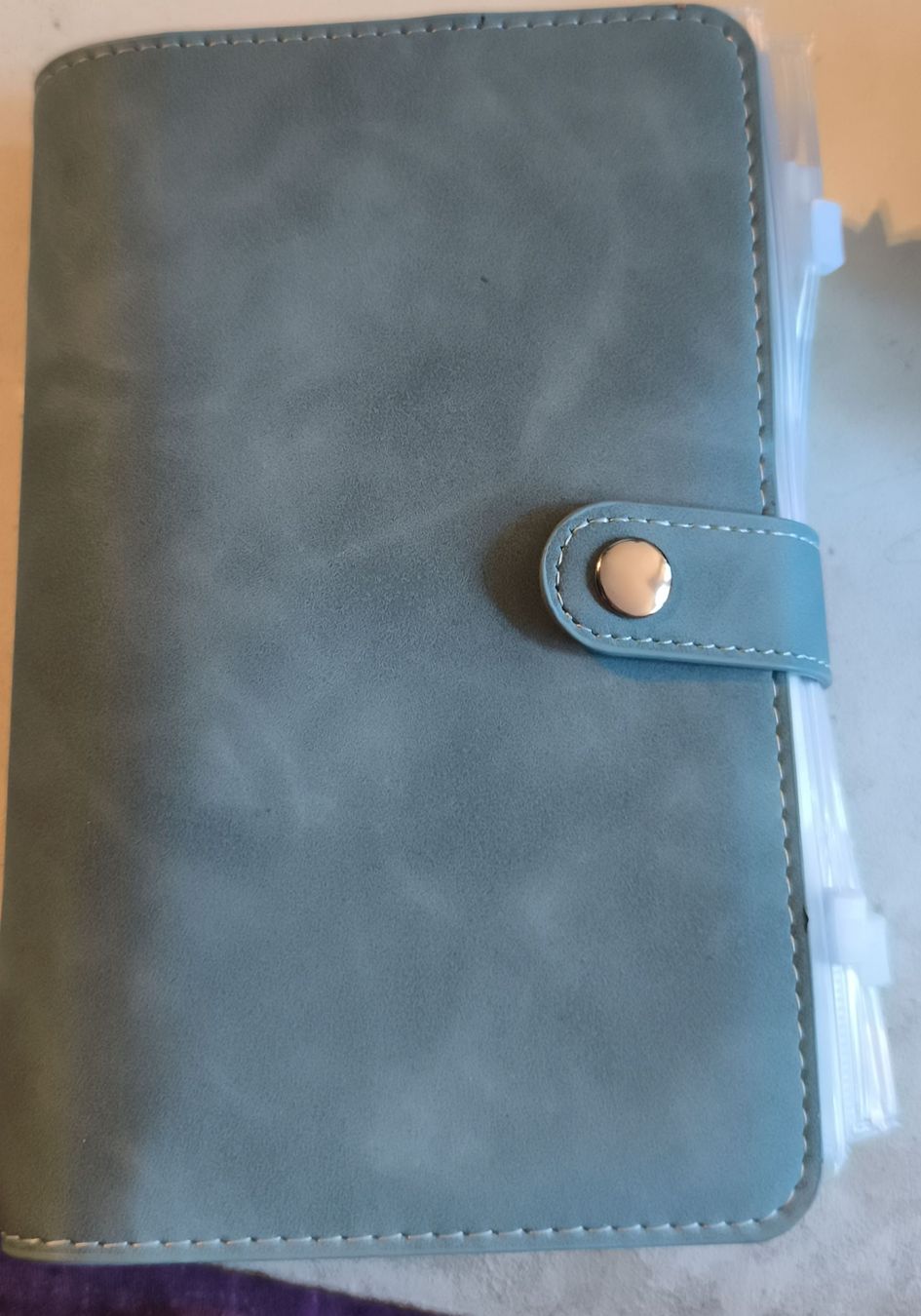 Libri: Budget Planer Organizer hellblau mit Fächern neuwertig – Usato da Aarwangen venduto da Byv7
