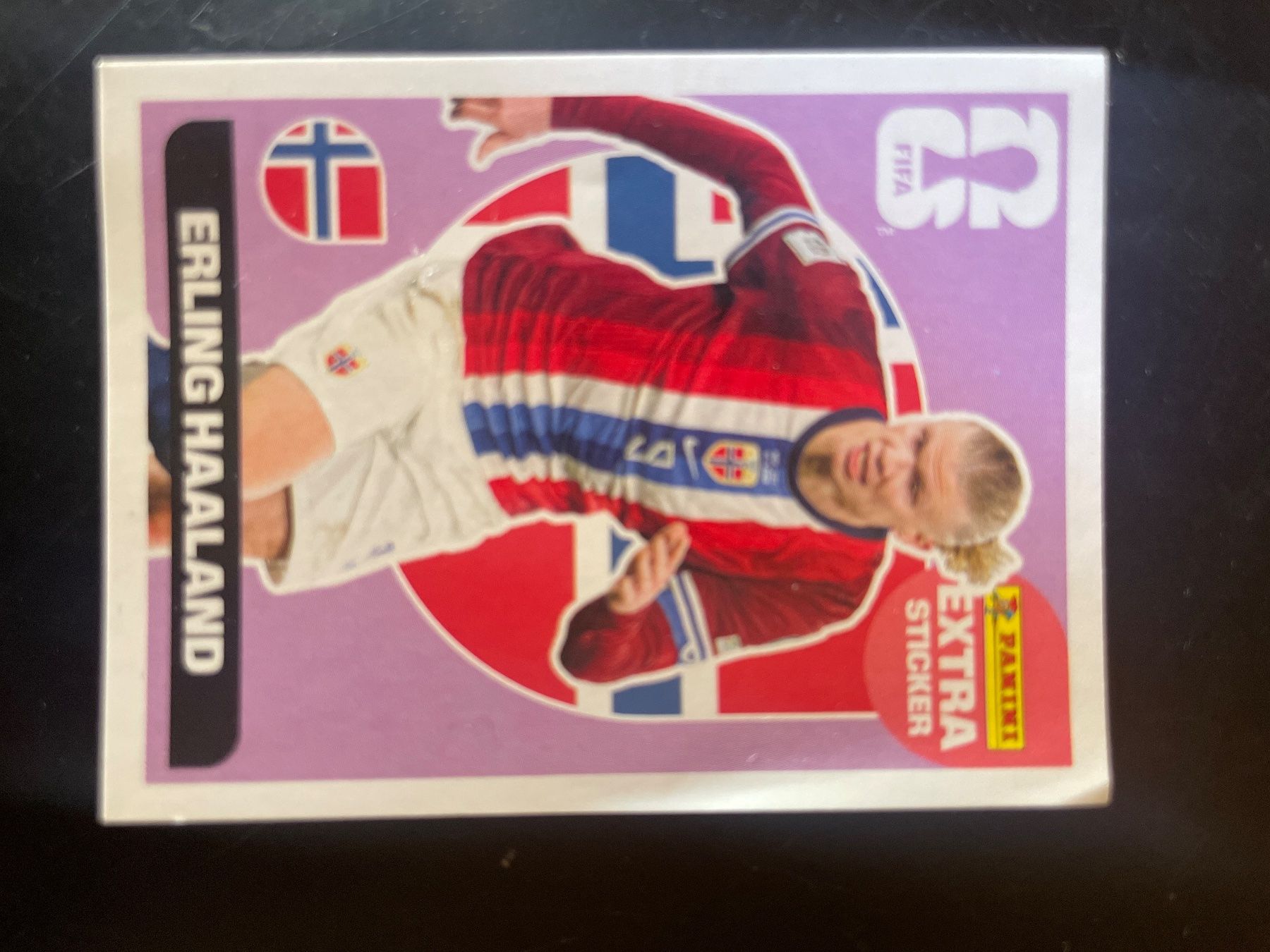 Panini Carte collezionabili: Erling Haaland Extra Sticker – Usato da boppelsen venduto da 00tina