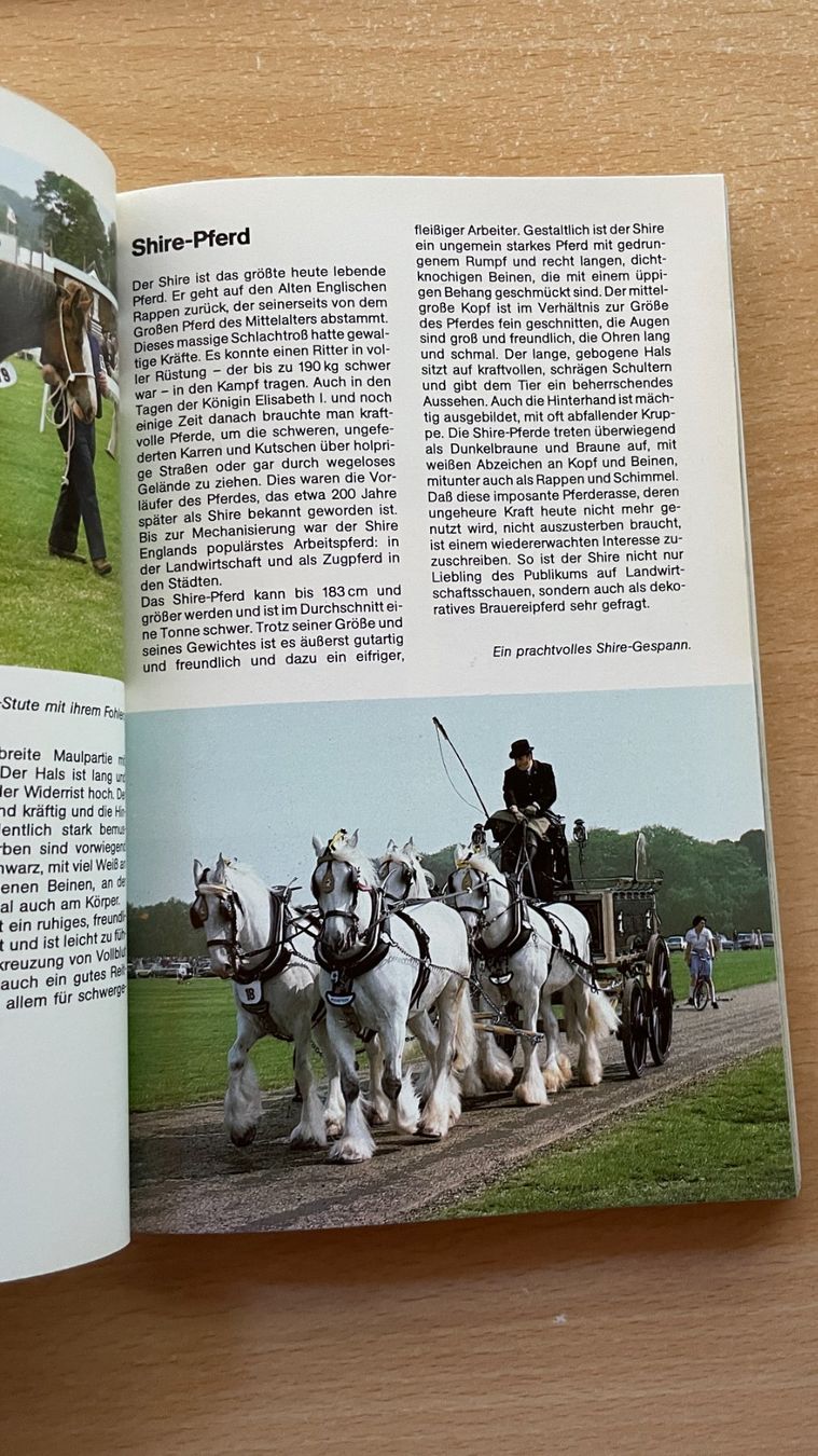 Libri: Pferde und Ponys – Usato da Glattfelden venduto da markweb 5