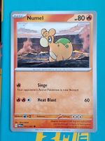 Numel - Pokemon Paldean Fates
