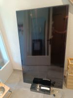 Samsung The Frame 65 Zoll / Defekt