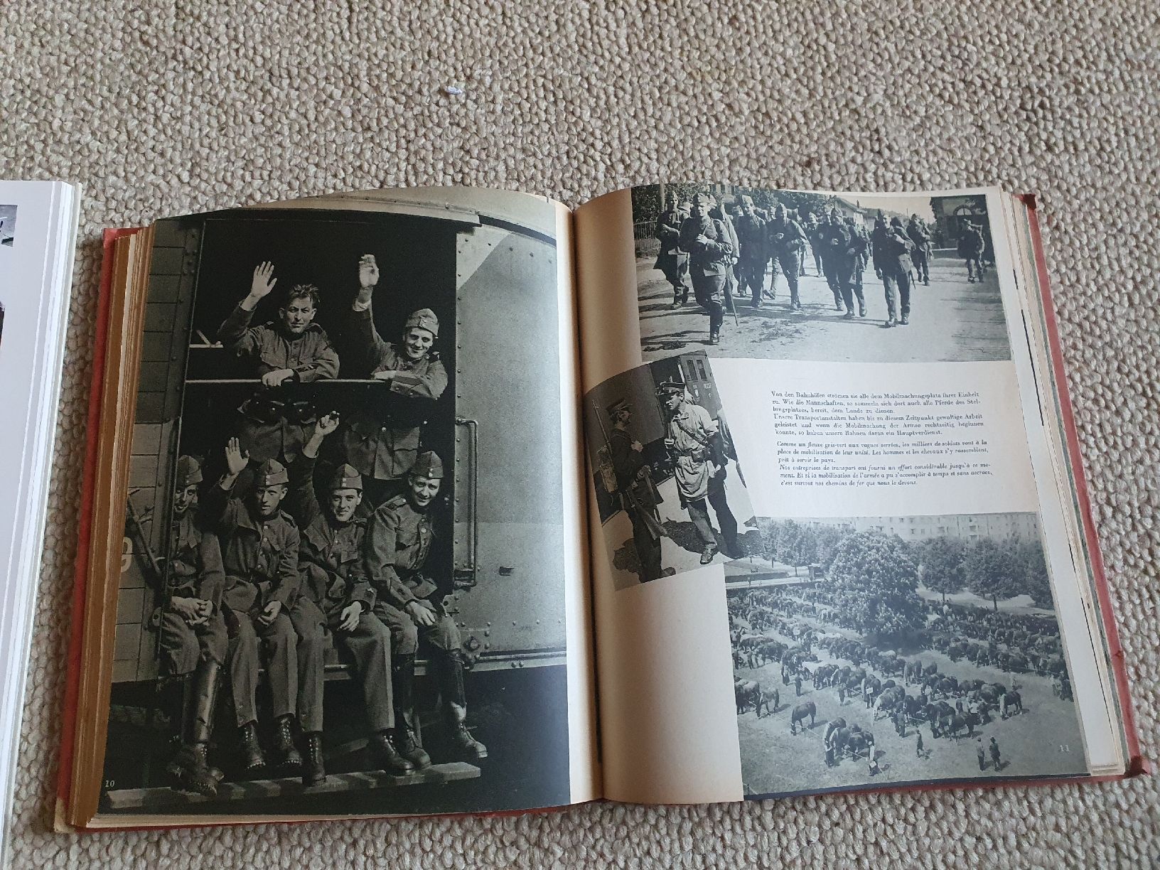 Schweizer Armee Uniformi: Livre militaire  – Usato da Lavey-Village venduto da Lofoten93 3