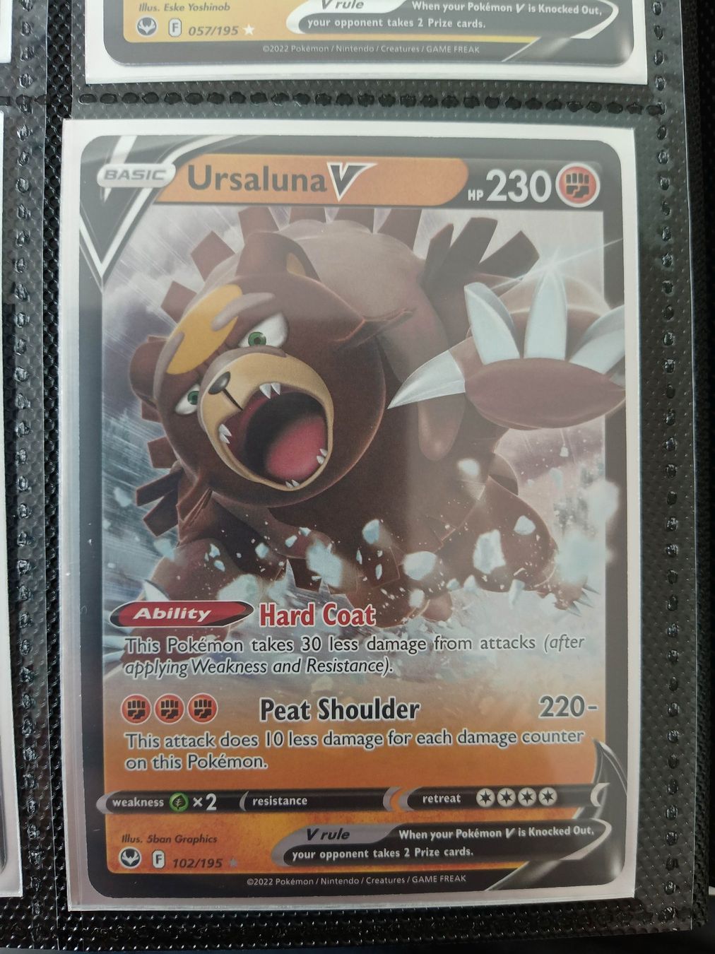 Pokémon Carte collezionabili: Ursaluna V - Pokemon Englisch – Usato da Altstätten SG venduto da GGsGameshop