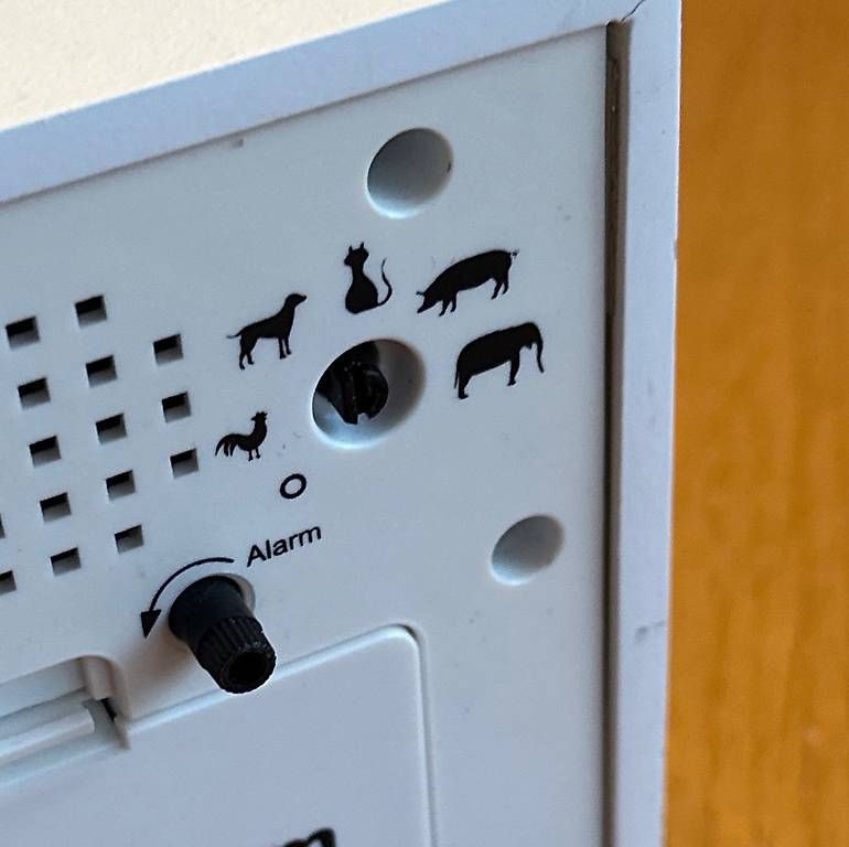 Sveglie: Koo Koo Wecker mit Ersatzfiguren – Usato da Gwatt (Thun) venduto da Nixipixi5 2