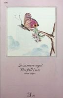 SJW 1746 Verena Gilgen Sommervogel Farfallina EA 1986