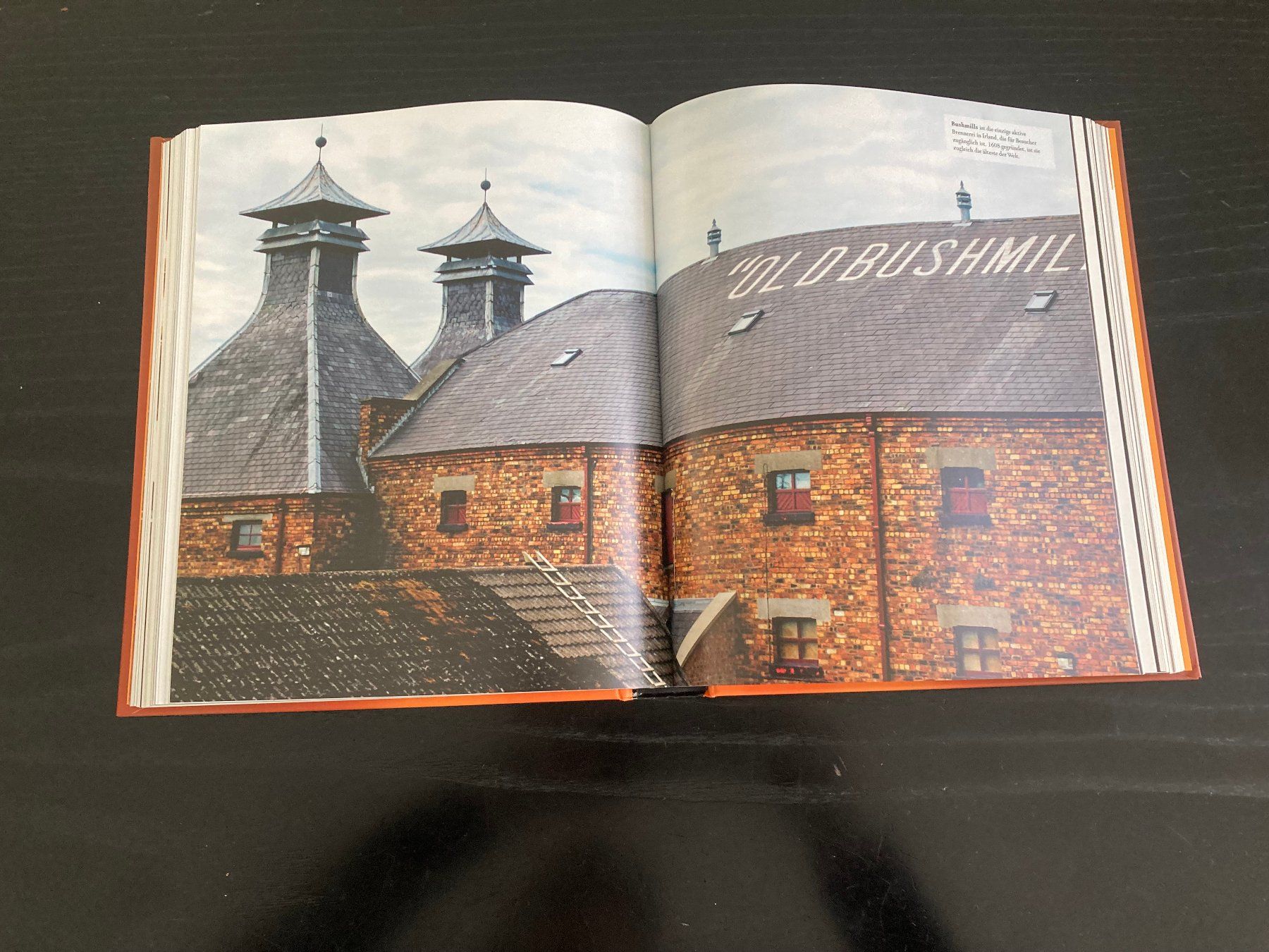 Libri: WHISKY - Sachbuch – Nuovo (secondo la descrizione) da Thalwil venduto da figueres 4
