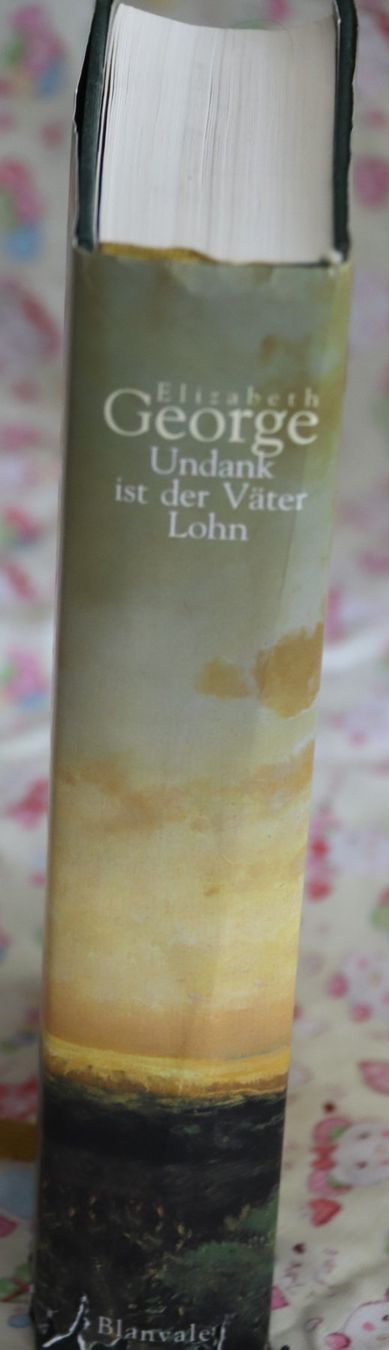 Bücher: Undank ist der Väter Lohn von Elizabeth George – Gebraucht aus Glattfelden von Vrenely 2