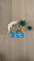 Dinosaurierskelett mit Zubehör - Dino Spielset