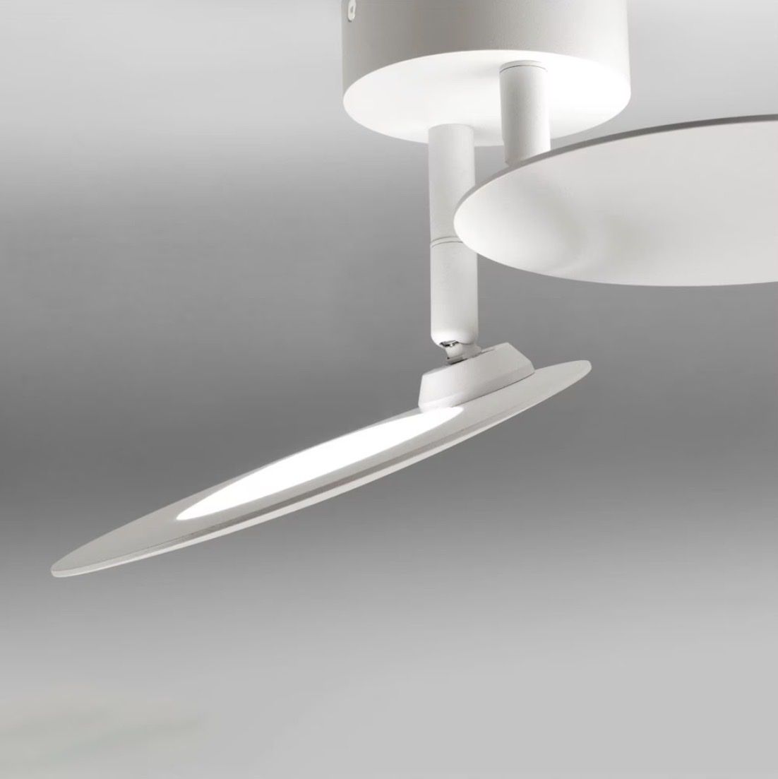 Lampadari & plafoniere: Lupia Licht Plate 675 lm – Usato da Lufingen venduto da Roeller 1