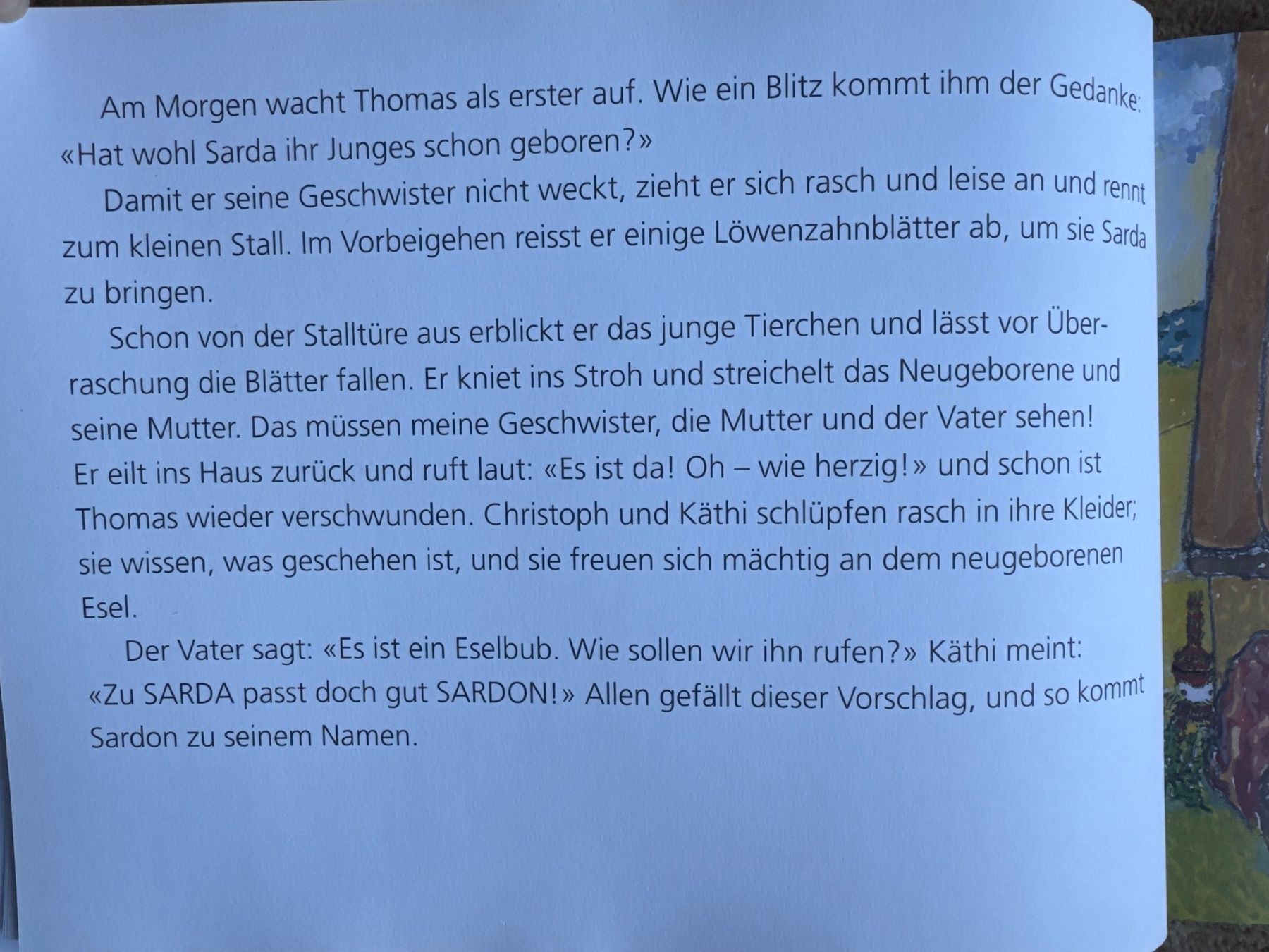 Bücher: Sardon - Marianne Stutz-Stocker – Gebraucht aus Aarau von Kilauea 2