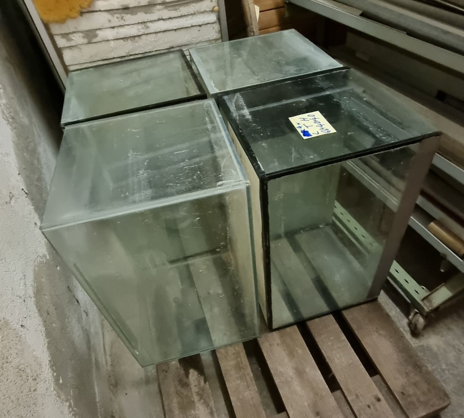 Acquari: Aquarien - Glasbecken – Usato da Oberentfelden venduto da Myri13 1