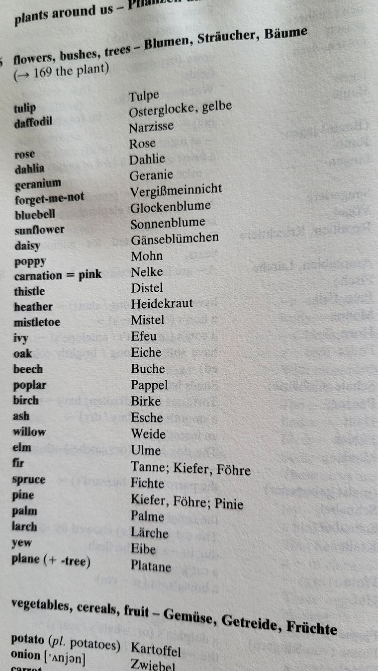 Livres: Buch " how to use your words", Lensing – D'occasion à Affoltern am Albis par Nunni 1