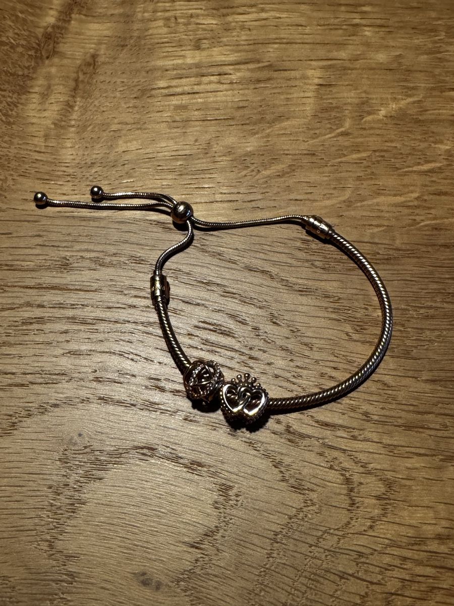 Pandora Bracciali & Braccialetti: Pandora Charm Armband Rose – Nuovo (secondo la descrizione) da Scherz venduto da spike22.5 1