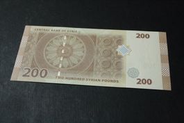 UNC Syrie 500 Pounds 2021