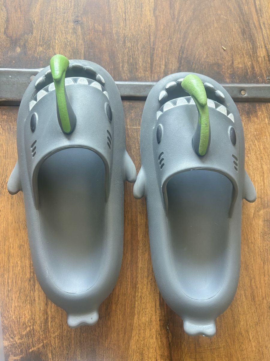 Scarpe per ragazzi: Shark Slippers grey size 40-41 – Usato da Biel-Benken BL venduto da ste_86wx