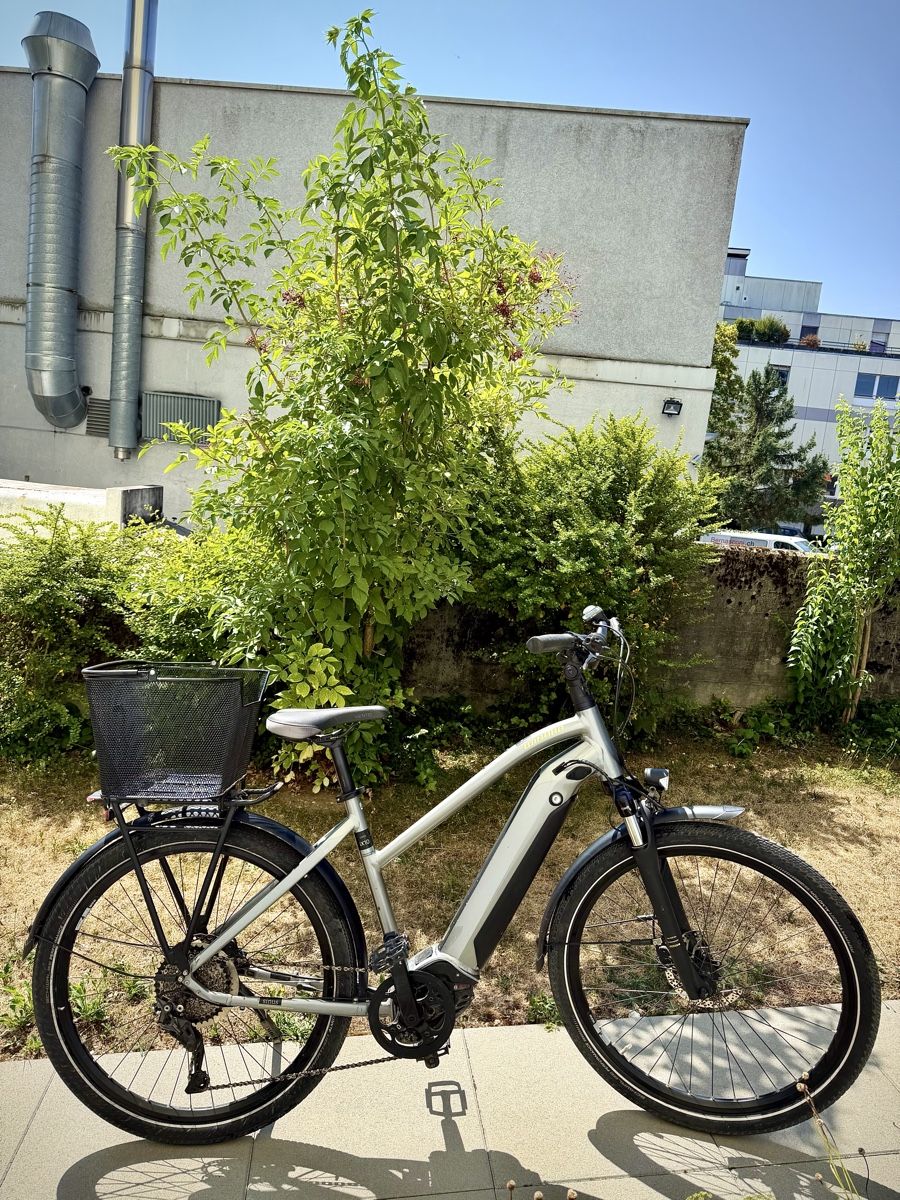 Winora Velos: Winora iX10 E-Bike Bosch Performance Line CX 2 531 km  – Gebraucht aus Bern von ser_7vtn 1