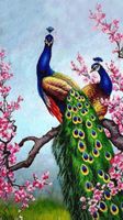 Diamond Painting Pfauenpaar 40x60 cm