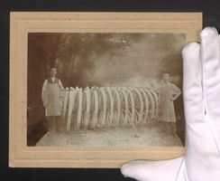 Fotografie Zwei Stellmacher mit Rädern 