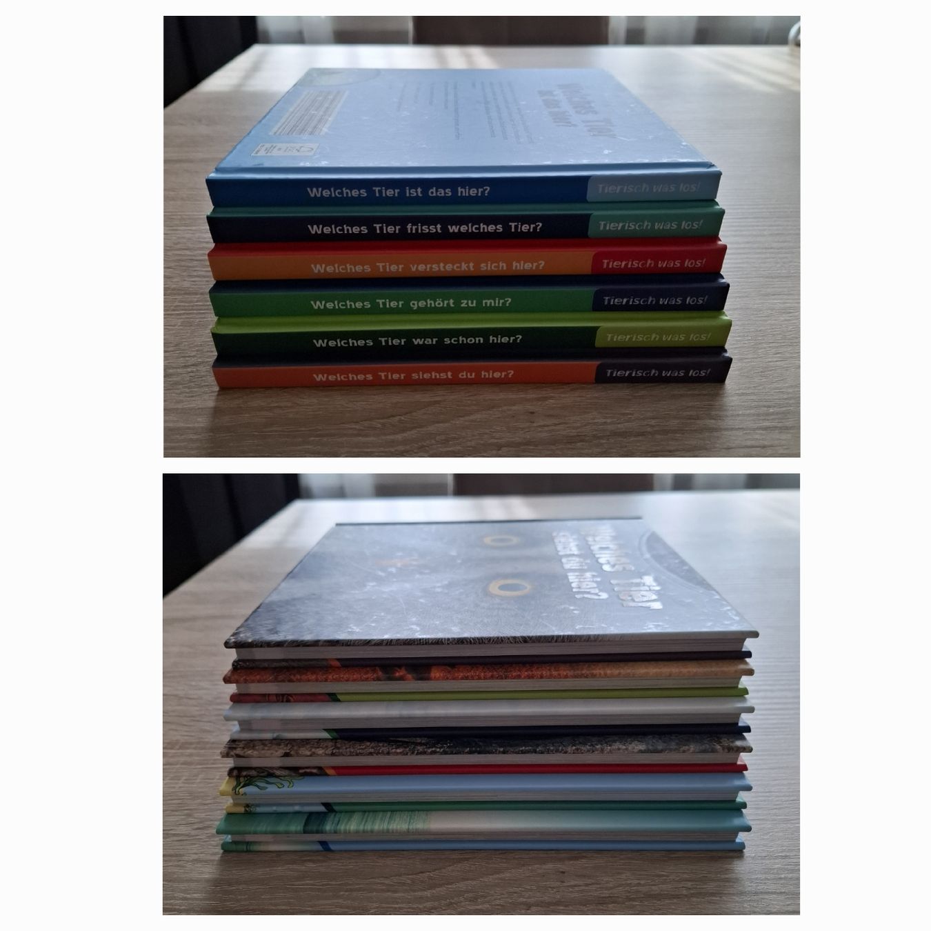 Libri: 6 Kinderbücher "Welches Tier..." – Nuovo (secondo la descrizione) da Hägglingen venduto da Pilipadin 9