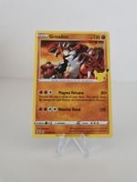 Groudon - Pokemon 017/025