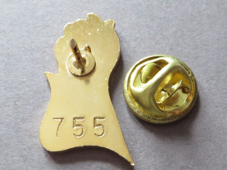 Placchette & Badge: PIN, BASEL BERUFSFEUERWEHR, limitiert No755 – Usato da Neuhausen venduto da luckimucki 1