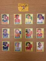 Panini Sticker 2026