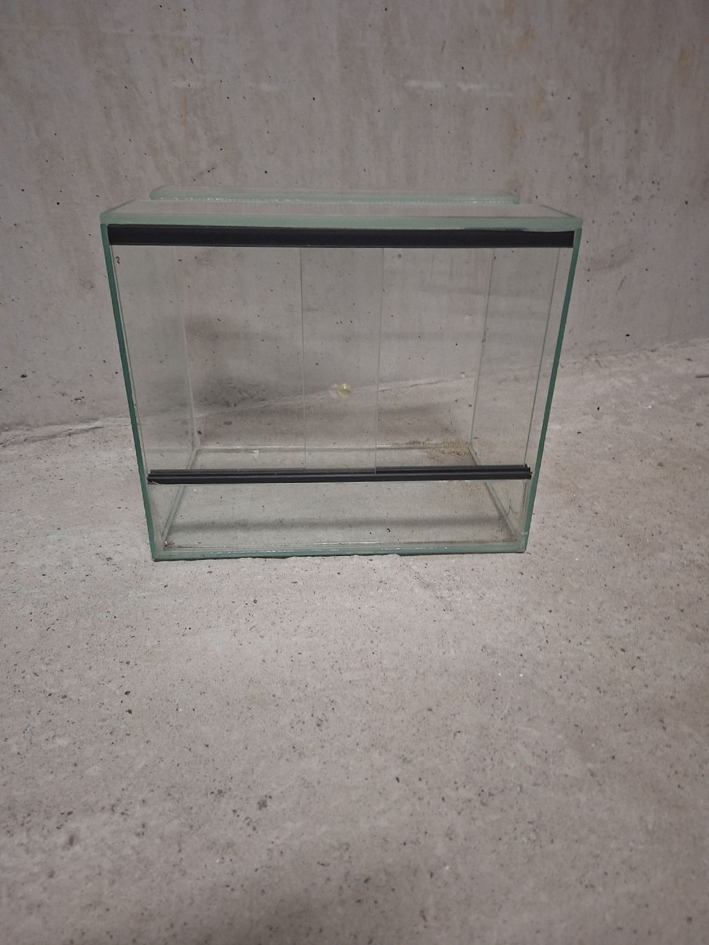 Terrario: Kleines Glasterrarium  günstig! – Usato da Luzern venduto da cot_5mrd
