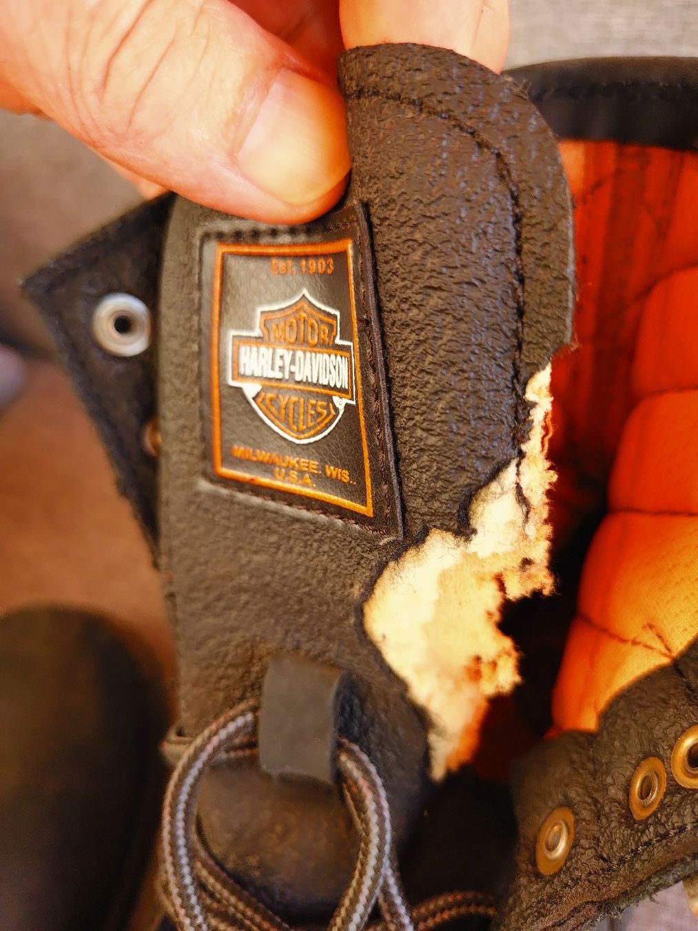 Harley-Davidson Damenschuhe: Harley-Davidson Schuhe Gr.40  – Gebraucht aus Goldach von Fuchour 7