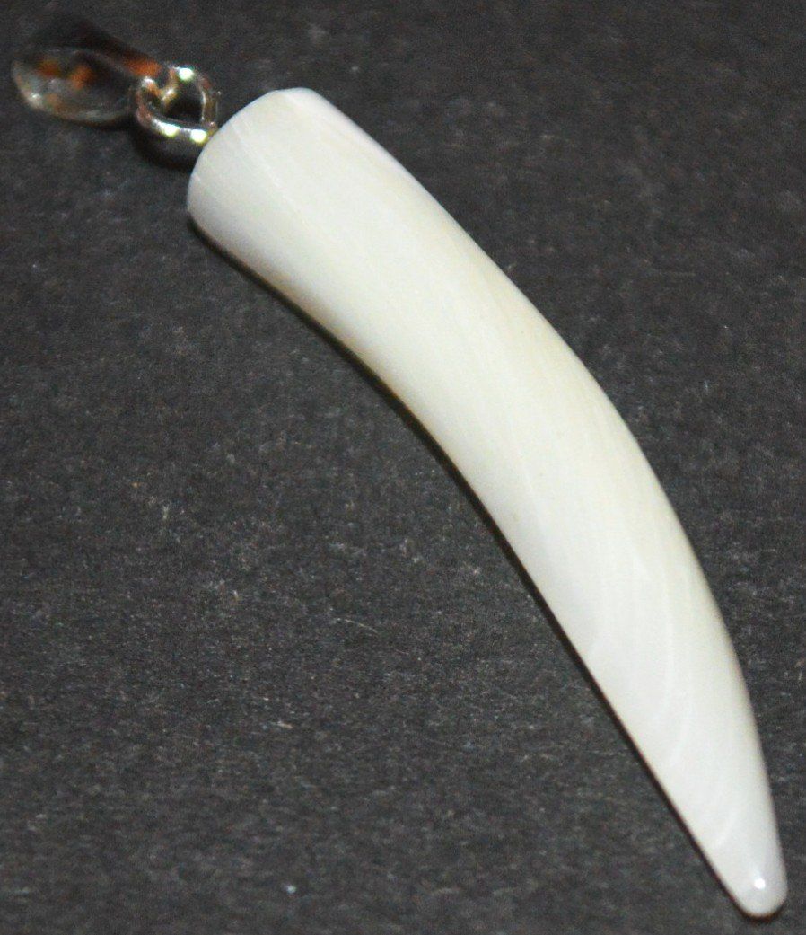 Ciondoli: Anhänger L-8310 – Perlmutter Zahn ca. 3cm – Nuovo e nell'imballaggio originale da Goldiwil (Thun) venduto da han_v5b7 3
